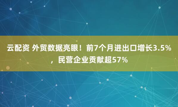 云配资 外贸数据亮眼！前7个月进出口增长3.5%，民营企业贡献超57%